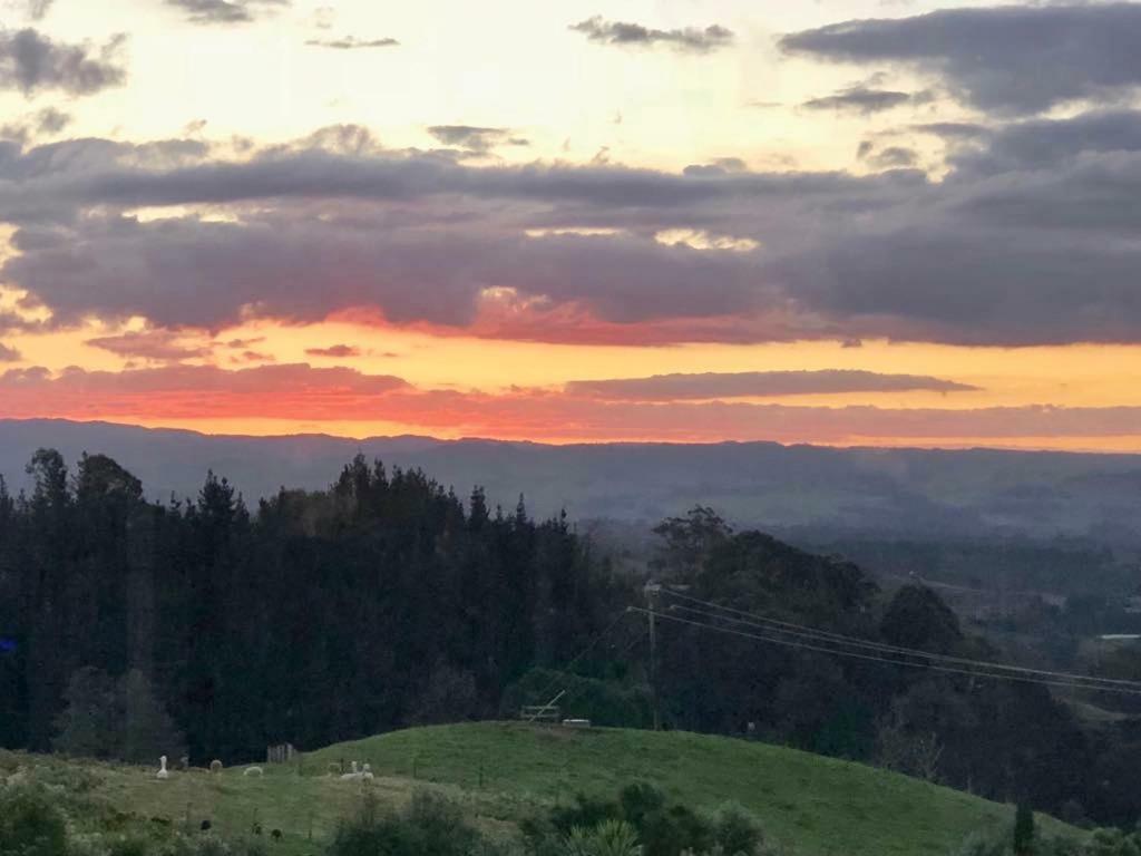 Arohanui Rural Retreat B&B タウランガ エクステリア 写真