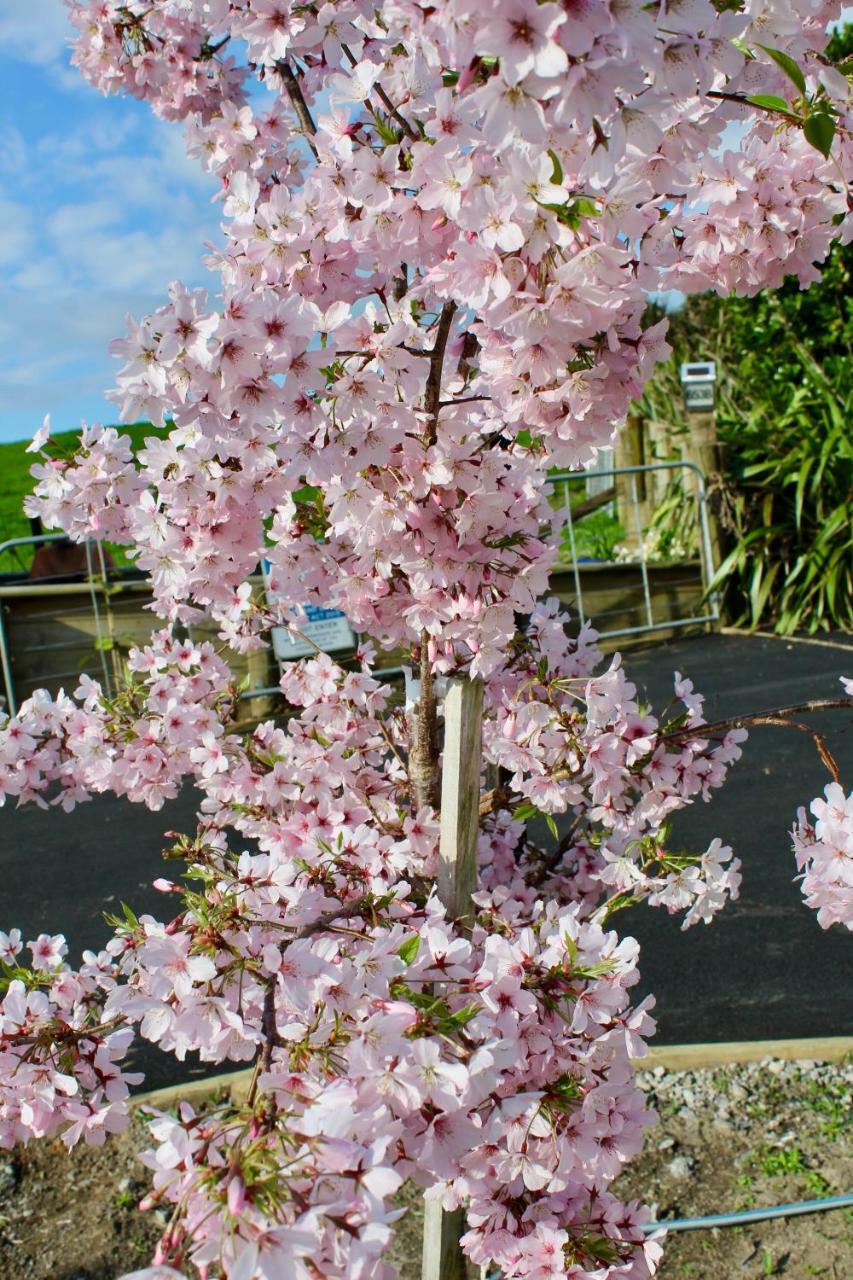 Arohanui Rural Retreat B&B タウランガ エクステリア 写真
