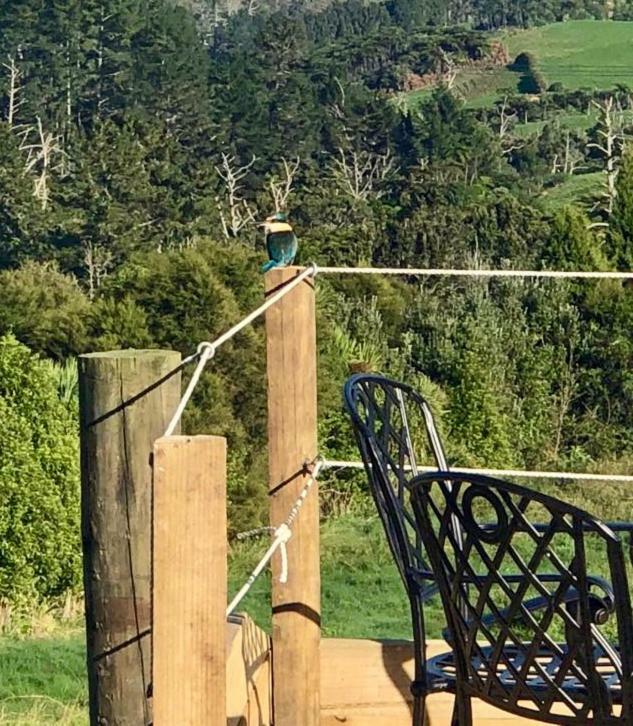 Arohanui Rural Retreat B&B タウランガ エクステリア 写真
